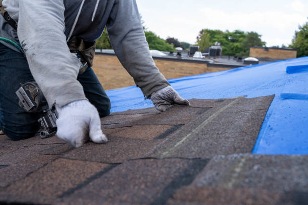Best Best Roofing Contractors  in Towamensing Trails, PA